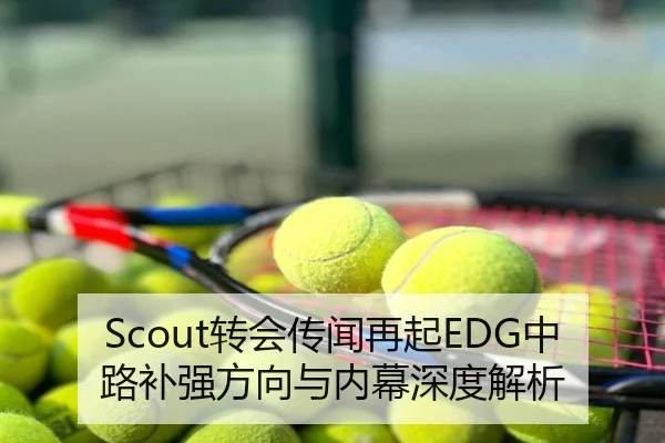 Scout转会传闻再起EDG中路补强方向与内幕深度解析